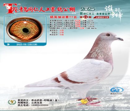 青岛同仁天工加站赛77名