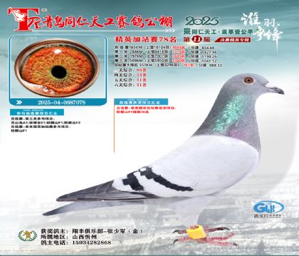 青岛同仁天工加站赛78名