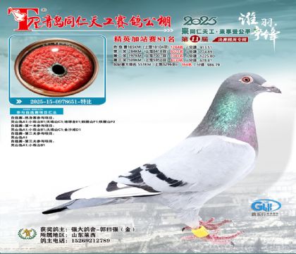 青岛同仁天工加站赛81名