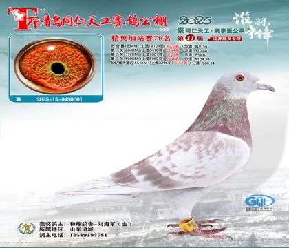 青岛同仁天工加站赛79名