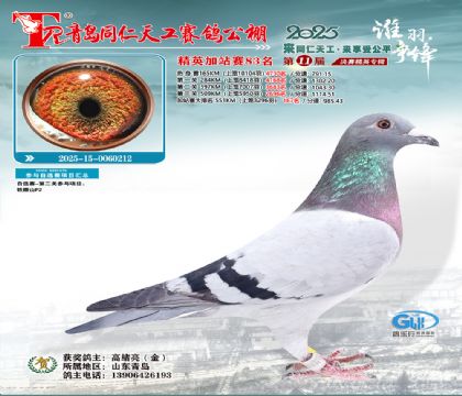 青岛同仁天工加站赛83名