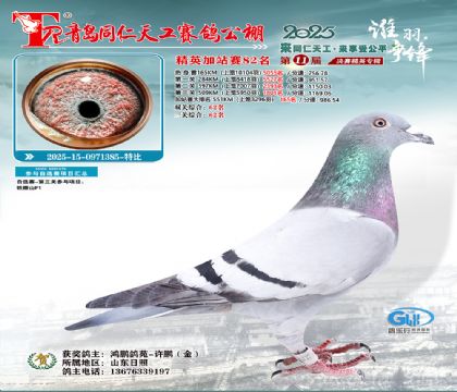 青岛同仁天工加站赛82名