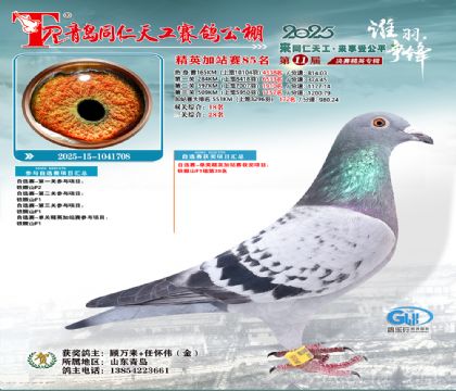 青岛同仁天工加站赛85名