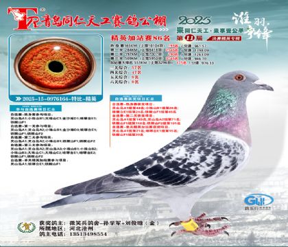 青岛同仁天工加站赛86名