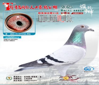 青岛同仁天工加站赛84名