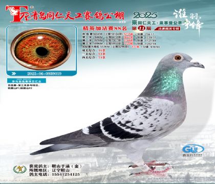 青岛同仁天工加站赛88名