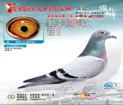 青岛同仁天工加站赛87名