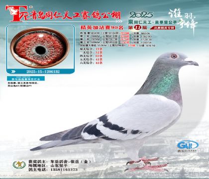 青岛同仁天工加站赛90名