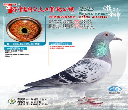 青岛同仁天工加站赛89名