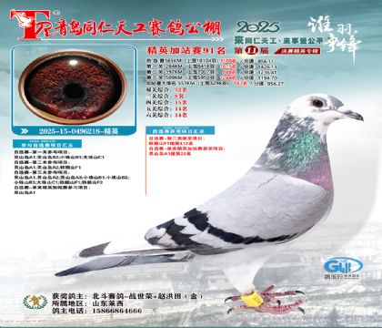 青岛同仁天工加站赛91名