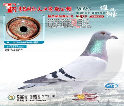 青岛同仁天工加站赛92名