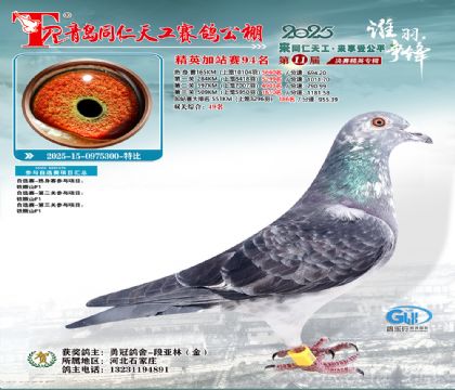 青岛同仁天工加站赛94名