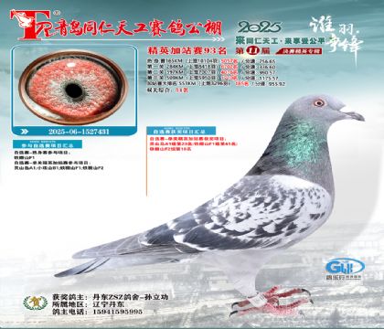 青岛同仁天工加站赛93名