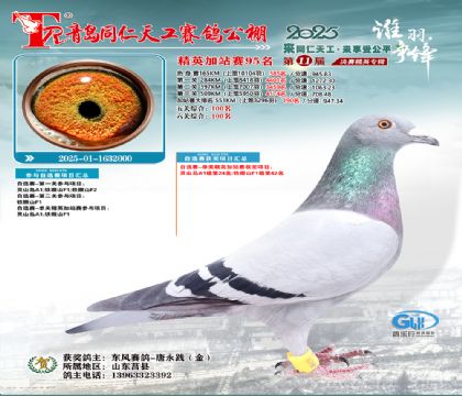 青岛同仁天工加站赛95名