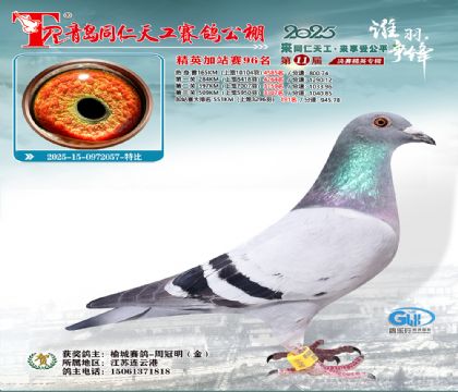 青岛同仁天工加站赛96名