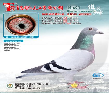 青岛同仁天工加站赛99名