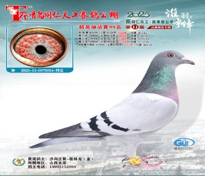 青岛同仁天工加站赛98名