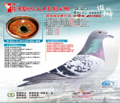 青岛同仁天工加站赛97名