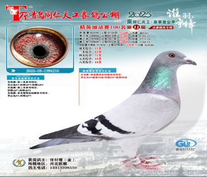 青岛同仁天工加站赛100名