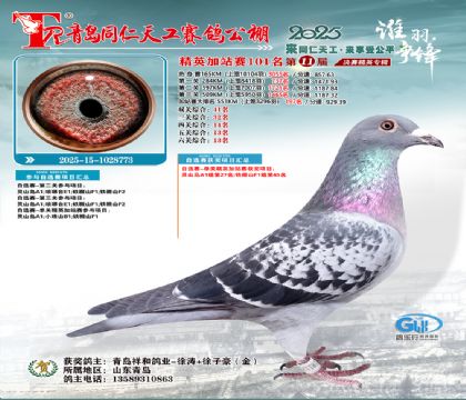 青岛同仁天工加站赛101名