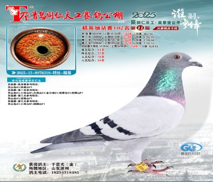 青岛同仁天工加站赛102名