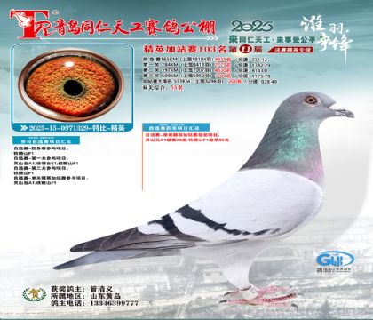 青岛同仁天工加站赛103名