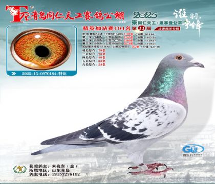 青岛同仁天工加站赛104名