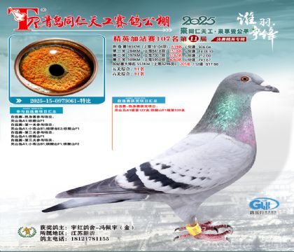 青岛同仁天工加站赛107名