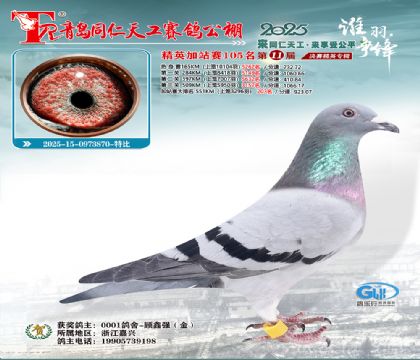 青岛同仁天工加站赛105名