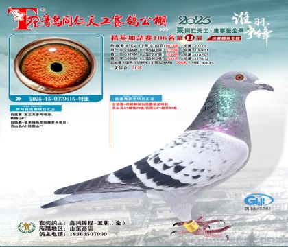 青岛同仁天工加站赛106名