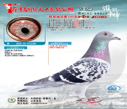 青岛同仁天工加站赛109名