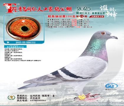 青岛同仁天工加站赛110名