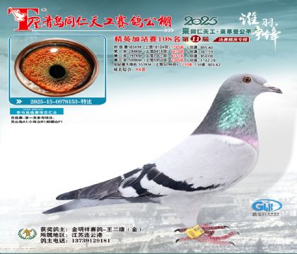 青岛同仁天工加站赛108名