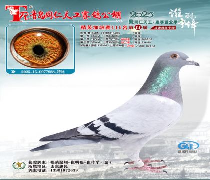 青岛同仁天工加站赛111名