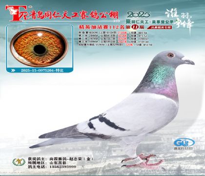 青岛同仁天工加站赛112名