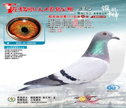 青岛同仁天工加站赛113名