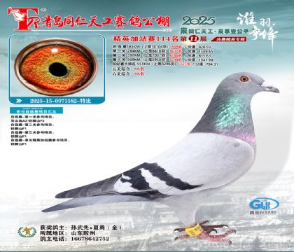 青岛同仁天工加站赛114名