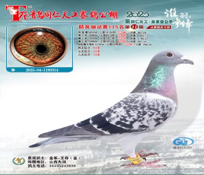 青岛同仁天工加站赛115名