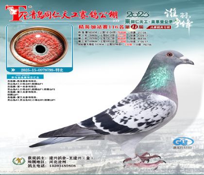 青岛同仁天工加站赛116名