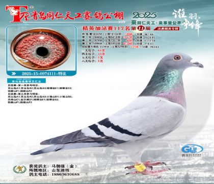 青岛同仁天工加站赛117名