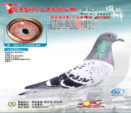 青岛同仁天工加站赛118名