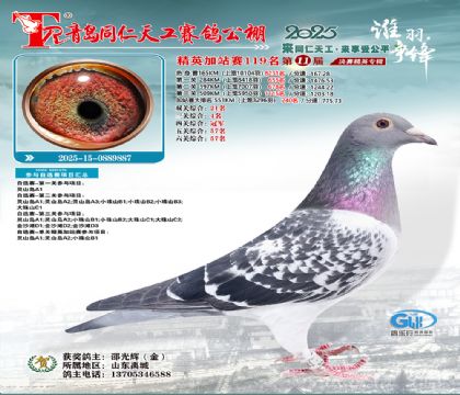 青岛同仁天工加站赛119名