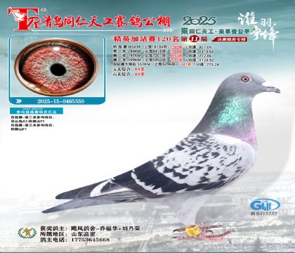 青岛同仁天工加站赛120名