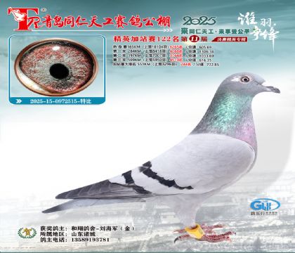 青岛同仁天工加站赛122名