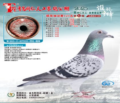 青岛同仁天工加站赛123名