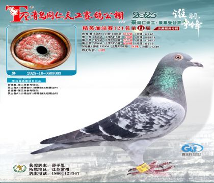 青岛同仁天工加站赛121名