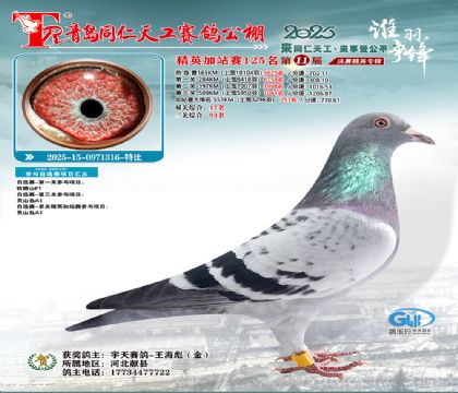 青岛同仁天工加站赛125名