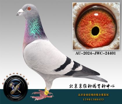 252-AU-2024-JWC-24401