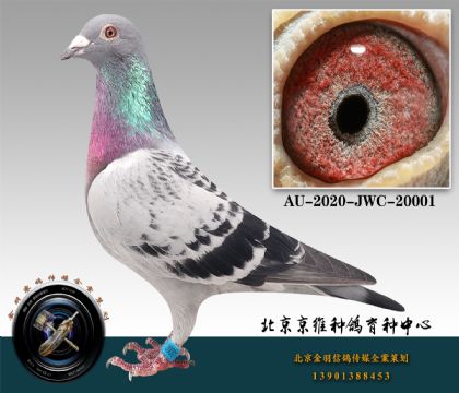 255-AU-2020-JWC-20001