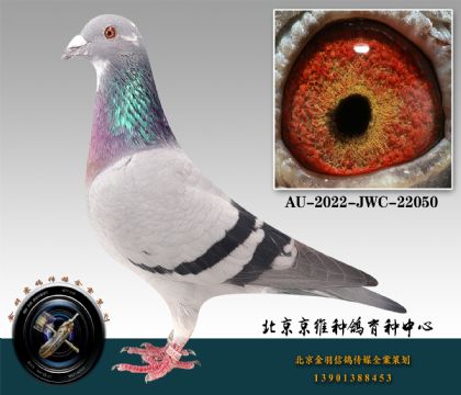 256-AU-2022-JWC-22050